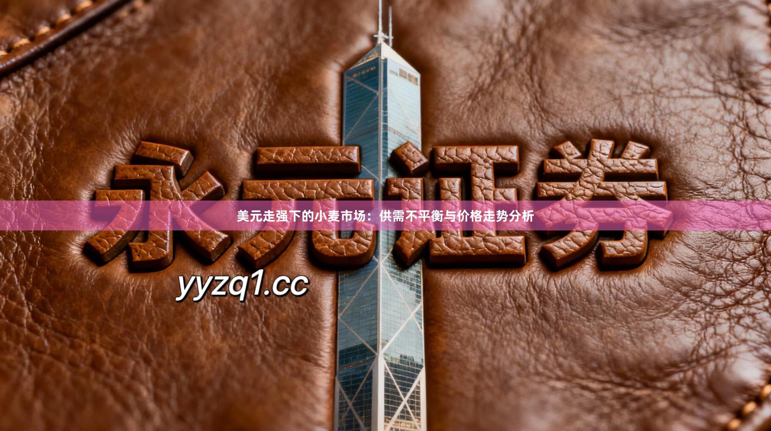 美元走强下的小麦市场：供需不平衡与价格走势分析